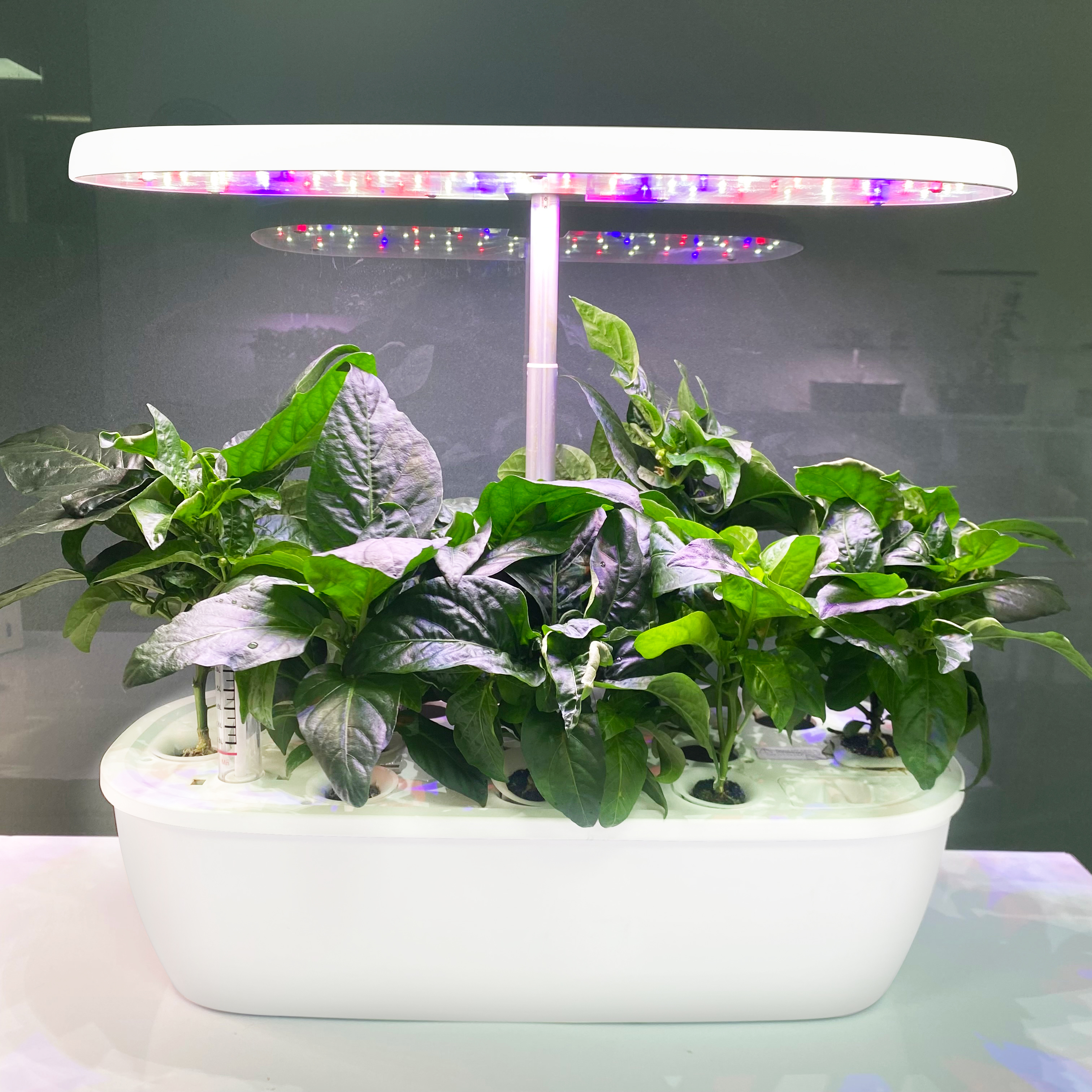 Smart Garden Design - Intelligentes Elektronisches Indoor-Hydroponik-Gartensystem Hochwertiges Heimdesign Eigenes