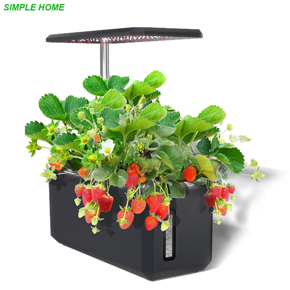 Smart Garden Nursery - Hydrokultur Wachsen System Mit Indoor-Anlage Volle