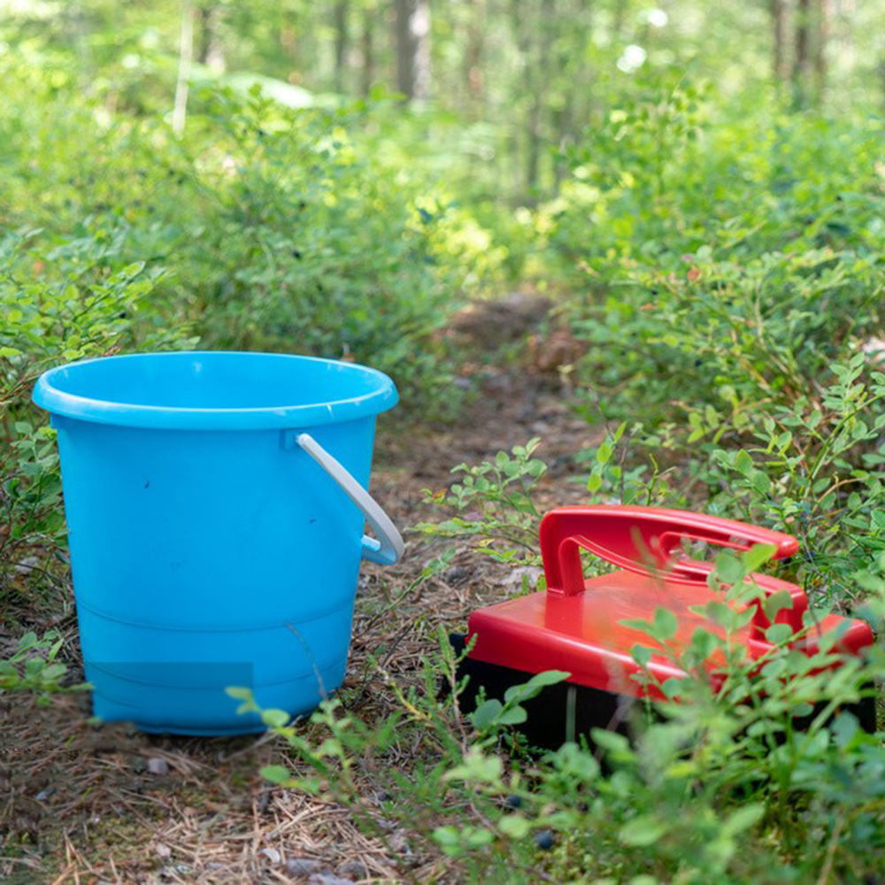 Tragbare Beeren pf lücker Blau – Smart Garden Edging Bewertung und Preis