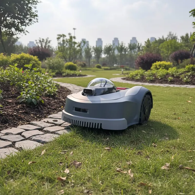 Neuester Mini Smart Roboter-Ra – Smart Garden Water Bewertung und Preis