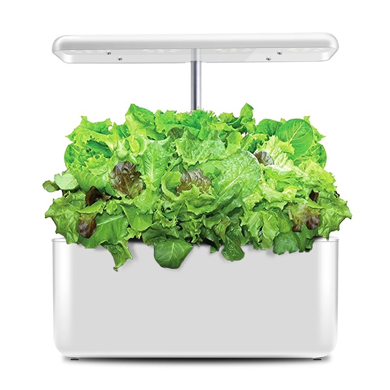 LYX-10 Intelligentes Indoor-Hy – Smart Garden Design Bewertung und Preis