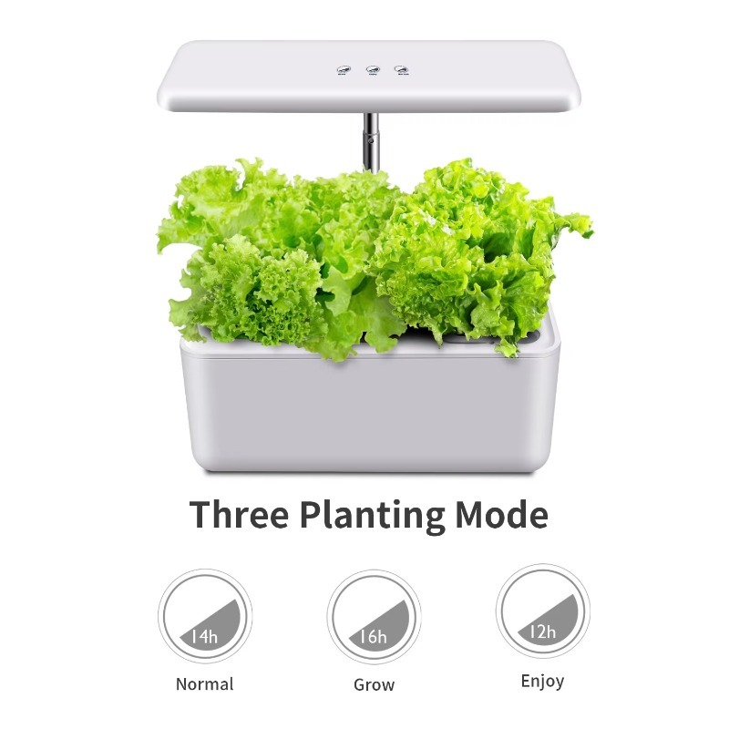 LYX-10 Intelligentes Indoor-Hy – Smart Garden Design Bewertung und Preis