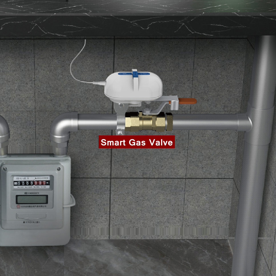 Tuya Smart Home WiFi Zigbee Wa – Smart Garden Water Bewertung und Preis