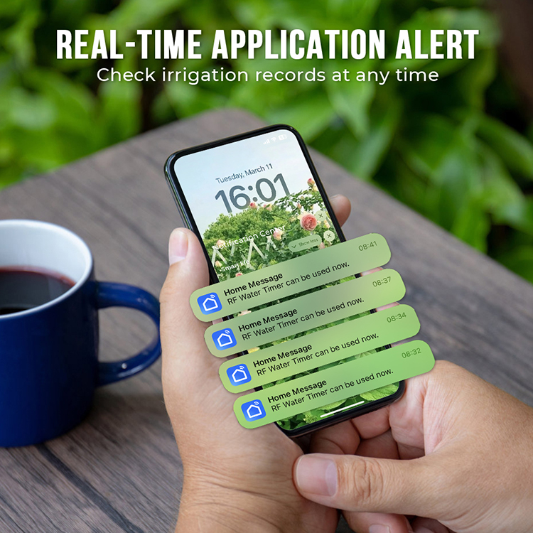 Neues Design Drei-Ausgangs-Sma – Smart Garden Design Bewertung und Preis