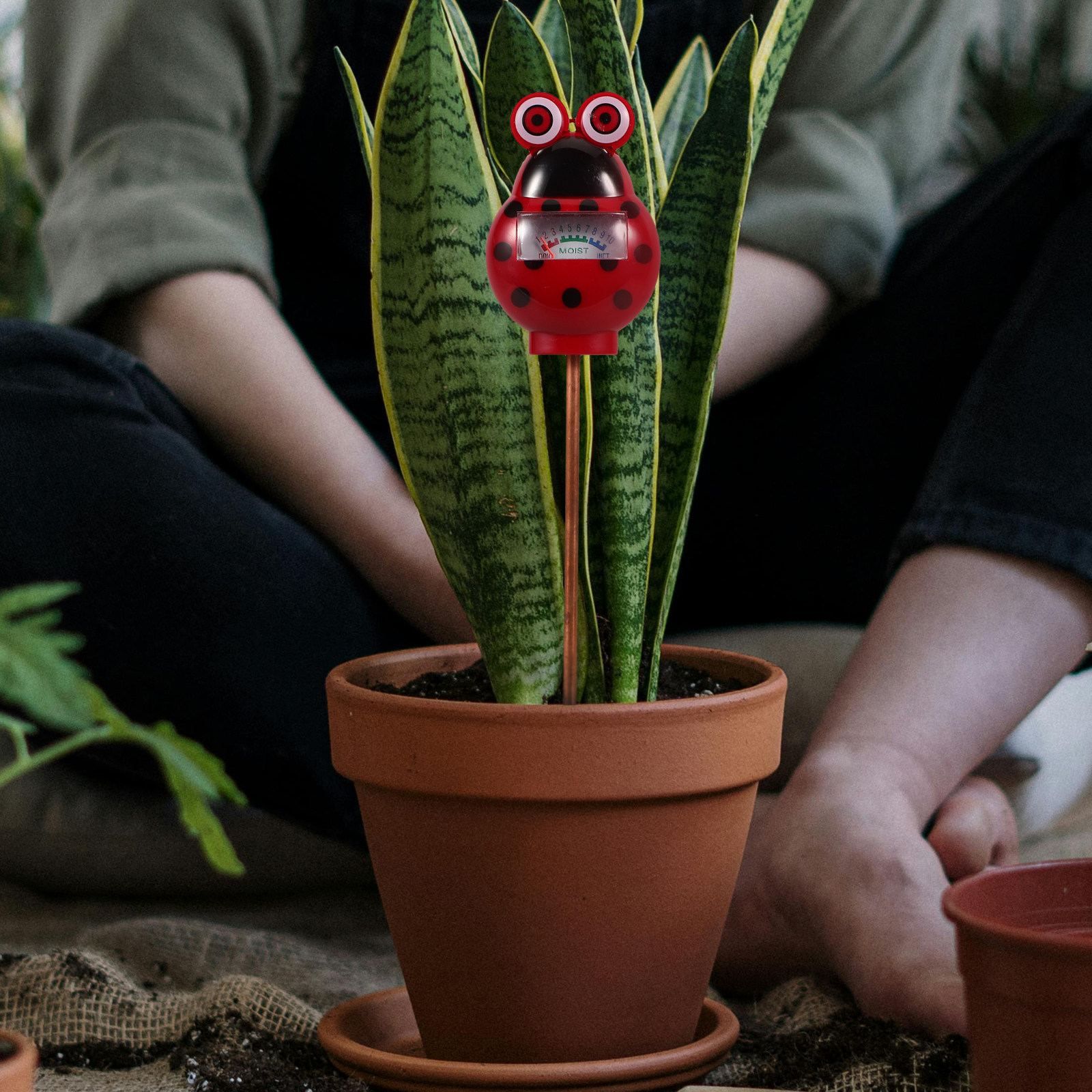 Bodenfeuchtigkeitsmesser Klein – Smart Garden Water Bewertung und Preis