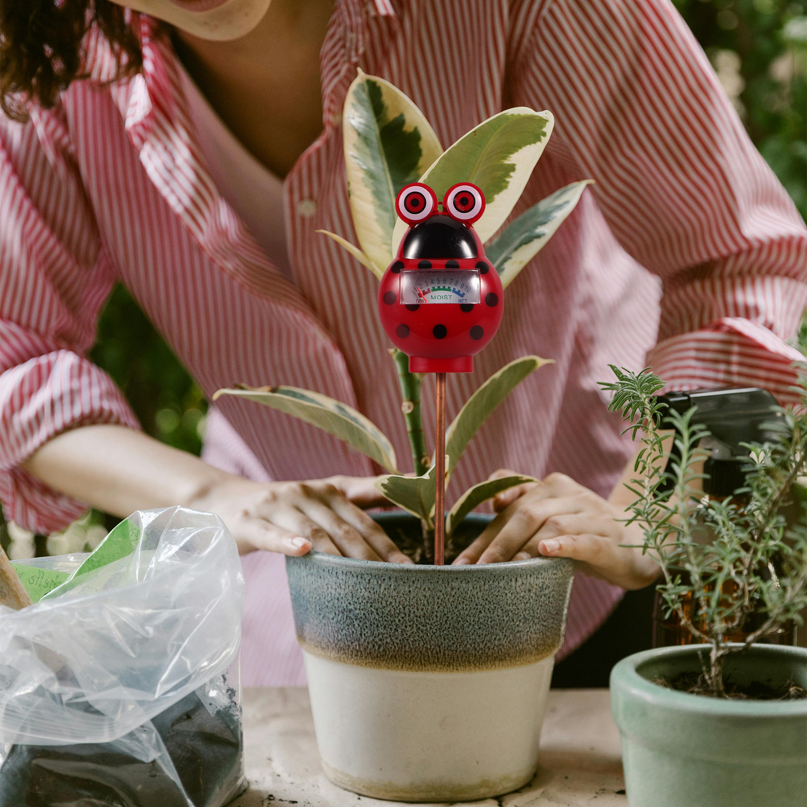Bodenfeuchtigkeitsmesser Klein – Smart Garden Water Bewertung und Preis