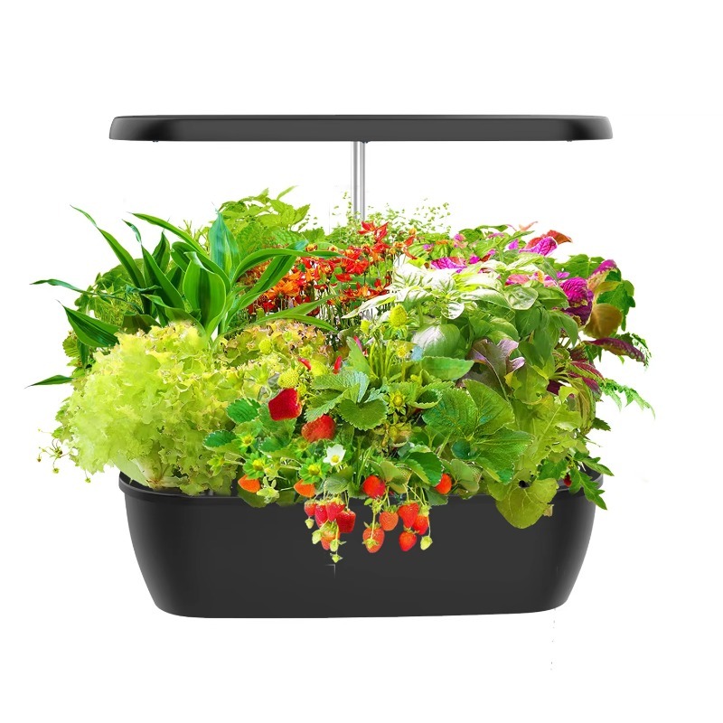 Intelligentes Elektronisches I – Smart Garden Design Bewertung und Preis