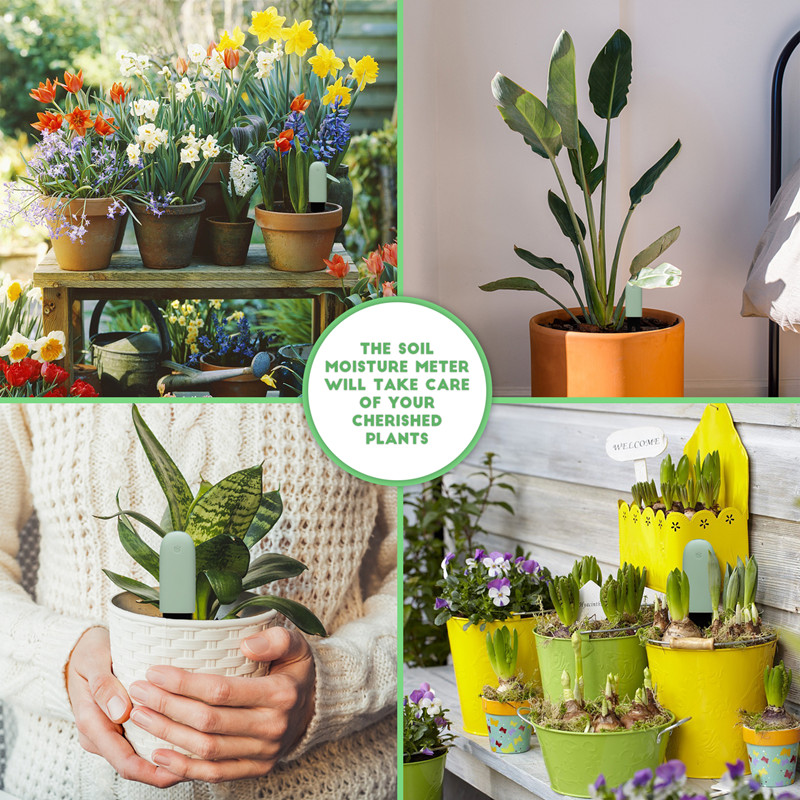Hhcc Flora Care Monitor Garten – Smart Garden Water Bewertung und Preis