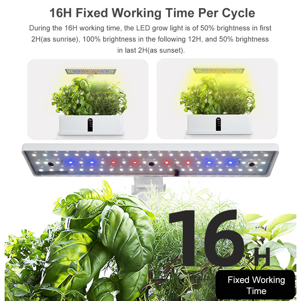 Smart Hydro ponics Anbaus yste – Smart Garden Nursery Bewertung und Preis