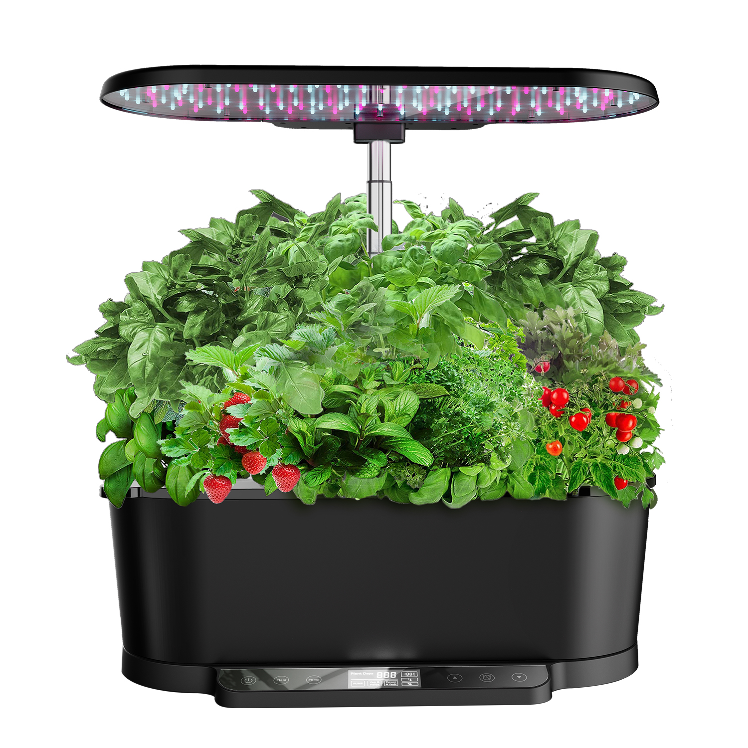 Smart Garden APP-Steuerung Ind – Smart Garden Design Bewertung und Preis