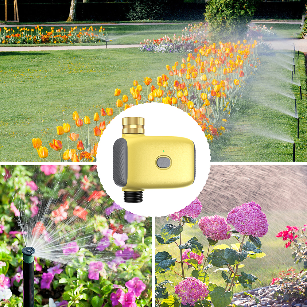 Großhandel Intelligenter Digit – Smart Garden Water Bewertung und Preis