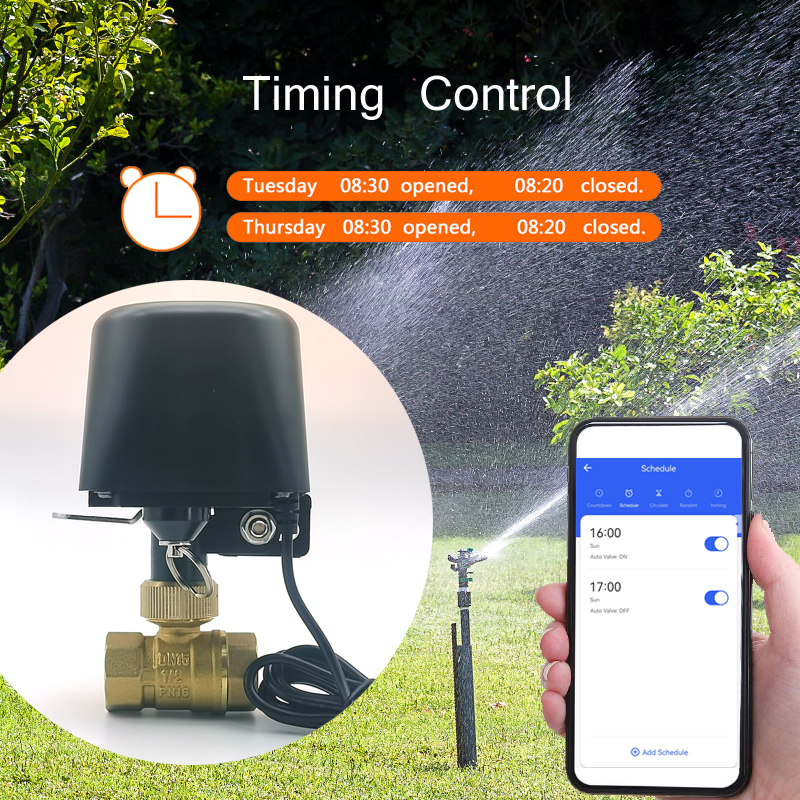 Tuya WiFi oder Zigbee Wasserve – Smart Garden Water Bewertung und Preis